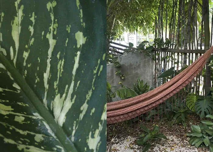 Wabi Sabi Garden By Amara Concepts. *