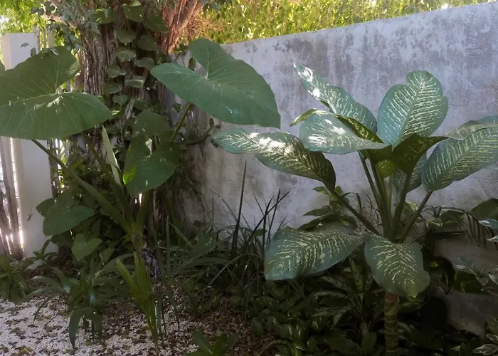 Wabi Sabi Garden By Amara Concepts. * Tulum